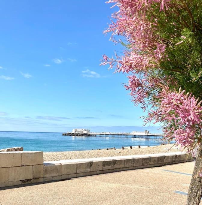 Seaside Snug, By The Beach, In Central Worthing With Parking 외부 사진